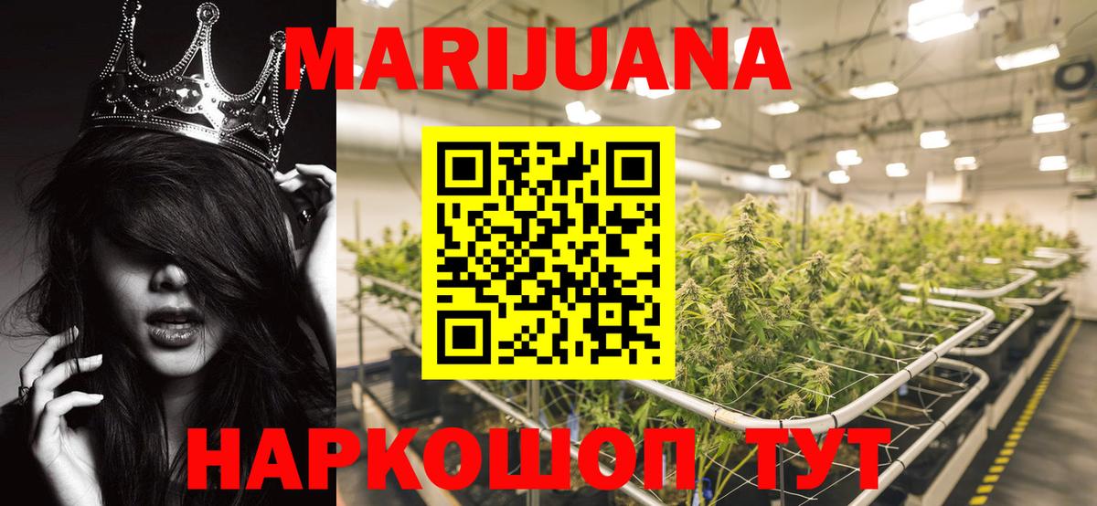 Тула  Бошки марихуана ГИДРОПОН  Каннабис Bruce Banner  Шишки марихуана семена  Каннабис THC 21%  Вход с VPN 